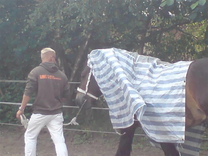 Jyde Mattias (Solgt) - Ha ha ha jeg er bare lige glad... billede 15