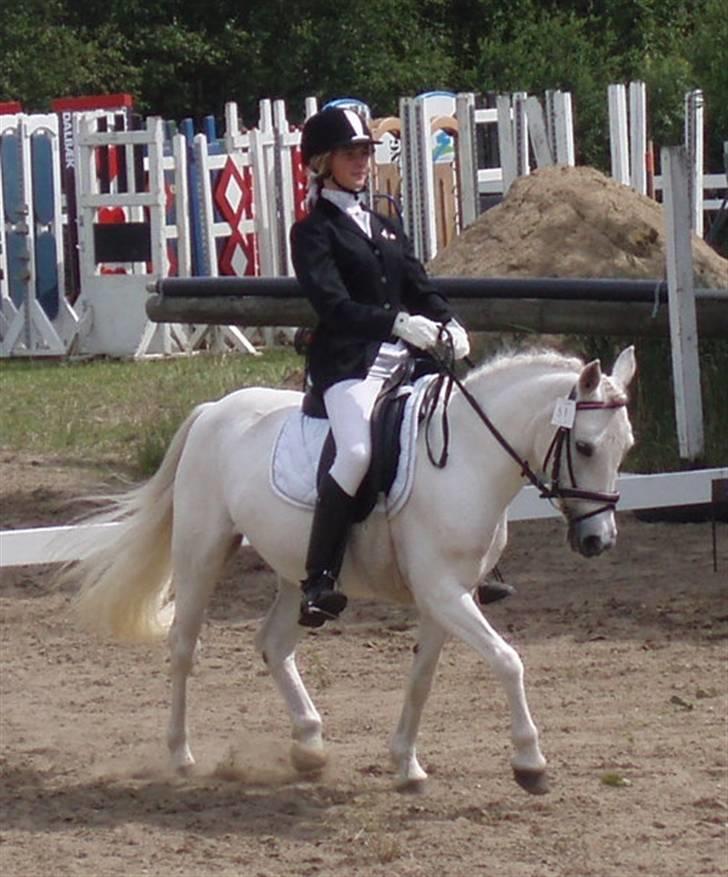 Anden særlig race Toscha R.I.P   - LB2 i LERK (udv. klubstævne 23-24 juni 07), 3. plads :) billede 20