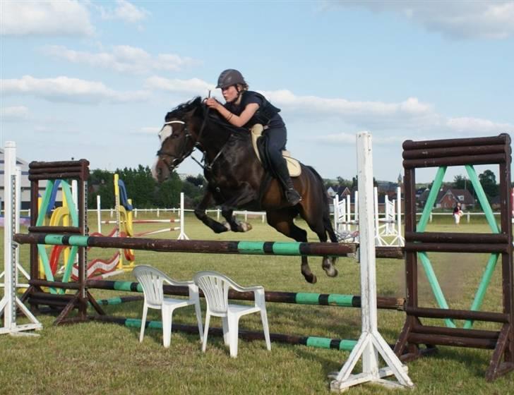 New Forest Heidi - Solgt - Springtræning juni 2009 - med havestole :D - foto: Sofie Pape <3 billede 1