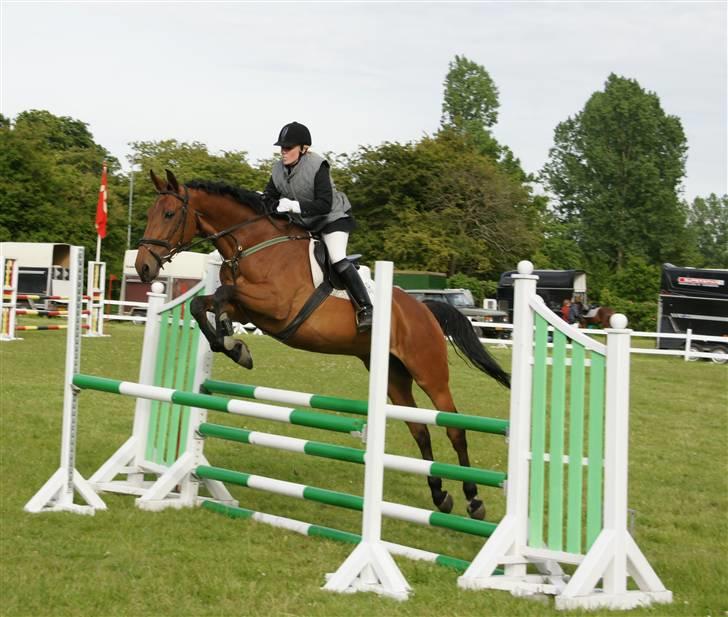 Anden særlig race Thilde *Solgt* - LC holdspring Juni 2009 <3 billede 8