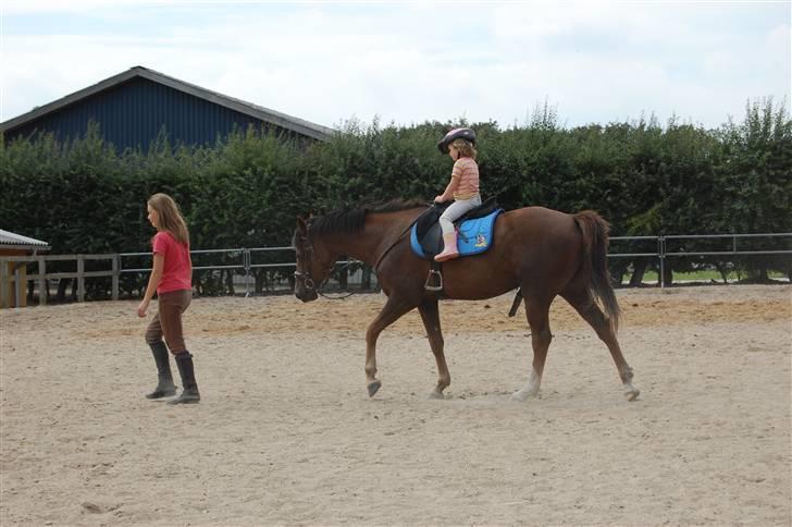 Welsh Partbred (Sec F) Montoya - Min lille kusine Benedicte, rider lige en lille tur på ham billede 14