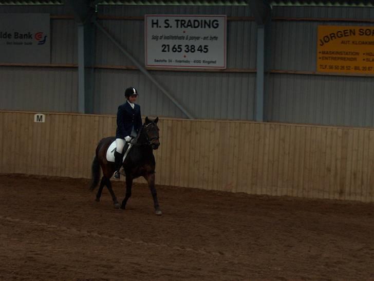 New Forest Sheik - Til dressurstævne d. 22. April. Her er vi inde og ride en LC1 m. Galop. billede 15