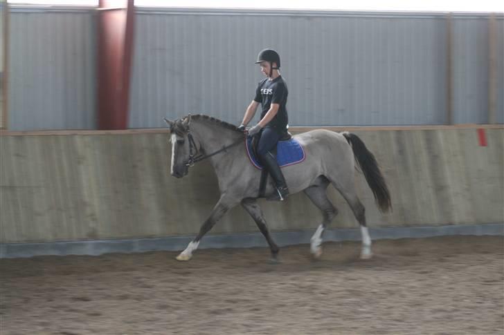 DSP Fenris - fri trav :P billede 1
