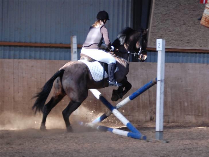 Traver Knight Wax<3 *SOLGT /:* - Fra Springstævnet. Ved godt jeg ikke følger med ham. Men han stoppede først, og klemte så til ham og så sprang han billede 5