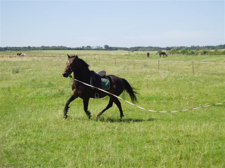 Traver Knight Wax<3 *SOLGT /:* - Wax ude og arbejde dagen efter han smed mig af!  Fotograf: Mia billede 11