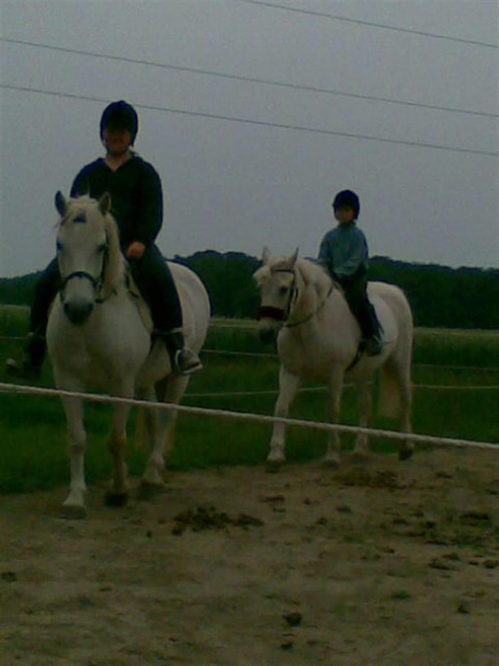 Anden særlig race - Amanda - Mig forest på Amanda og Sofie på Zezee bagerst billede 11