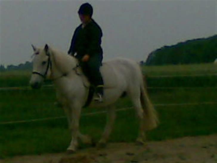 Anden særlig race - Amanda - Mig på den Skønne.<3 billede 12