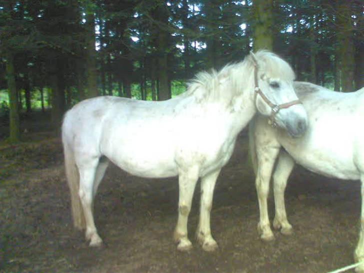 Anden særlig race - Amanda - uff, Amanda ... Du skal vist snart i bad! billede 13