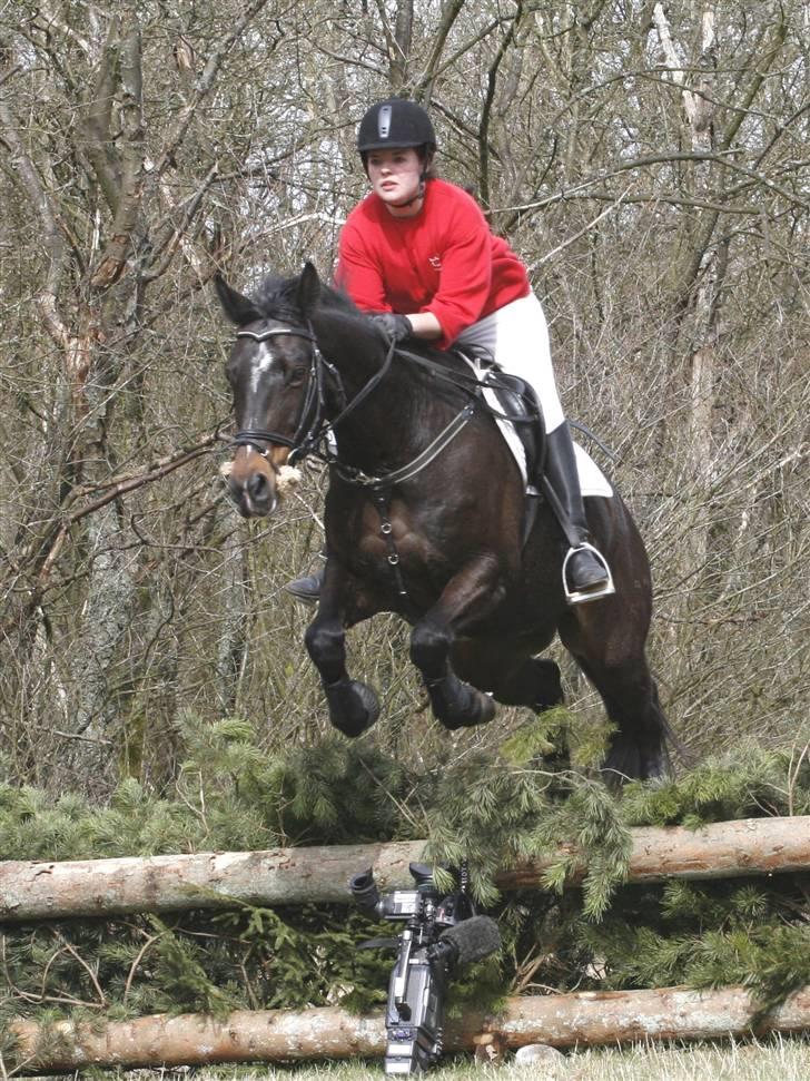 Oldenborg Gazell (Aflivet 30/10/09) - Jagt i kompedalen 5 april 2009 billede 4