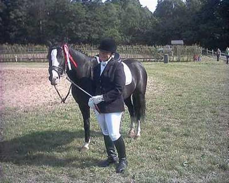 Anden særlig race Søgårdens Sandy billede 1