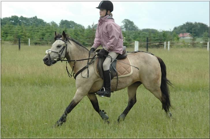Anden særlig race Kikki - Opvarmning til springundervisning :) billede 13