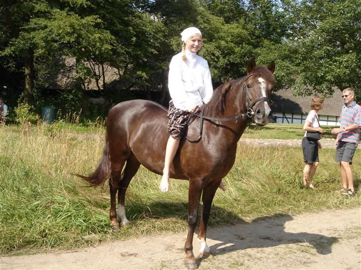 New Forest Emma - Fra Hjerl Hede ! billede 1