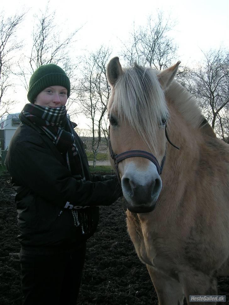 Fjordhest sabine - uhmm vist ingen god vinkel for os begge xD billede 19