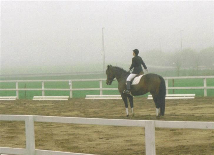 Oldenborg Calypso R.I.P (ingen udf) - afslutnings parade billede 14