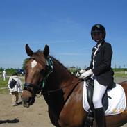 Anden særlig race Sultan * solgt ;(