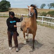 Anden særlig race Rosie :'(