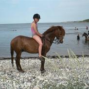 Anden særlig race Ron $solgt$