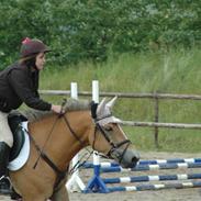 Anden særlig race Golden Lady (Solgt)