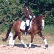 DSP Højvangs Bolette