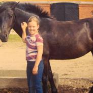 New Forest Roløkke Svea Svart