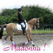 Anden særlig race * Madonna *  R.I.P <3 :'(