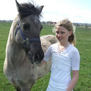 Anden særlig race Lukas