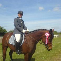 Trakehner Florentine SOLGT
