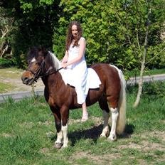 Anden særlig race Maj Rose - Ikke part mere