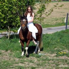 Anden særlig race Maj Rose - Ikke part mere
