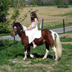 Anden særlig race Maj Rose - Ikke part mere