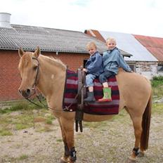 Anden særlig race Topsy *død* Savnes