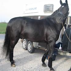 Oldenborg Loberg´s Lillemand