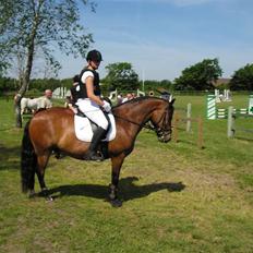 New Forest Texas (Solgt)