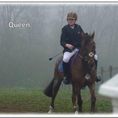 Anden særlig race | Queen |