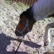 Tinker Jason*DENGANG*