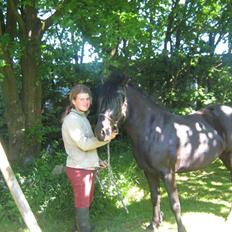 Anden særlig race Yasmin $ilke*solgt