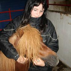 Shetlænder Victor *RIP ´07*