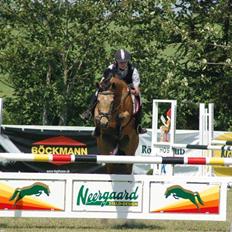 Anden særlig race Orchard Freedom - Solgt 