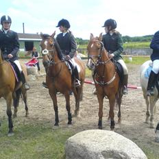 Anden særlig race Orchard Freedom - Solgt 