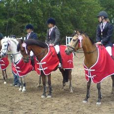 Anden særlig race Orchard Freedom - Solgt 