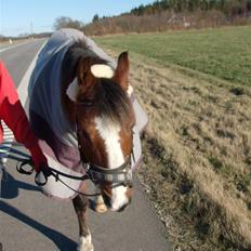 Anden særlig race Lucy<3Aflivet&savnet<3