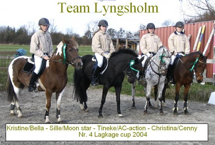 Pinto Bella, solgt - Lagkagecup i kongelunden. Vores hold blev nr. 4 :P billede 14