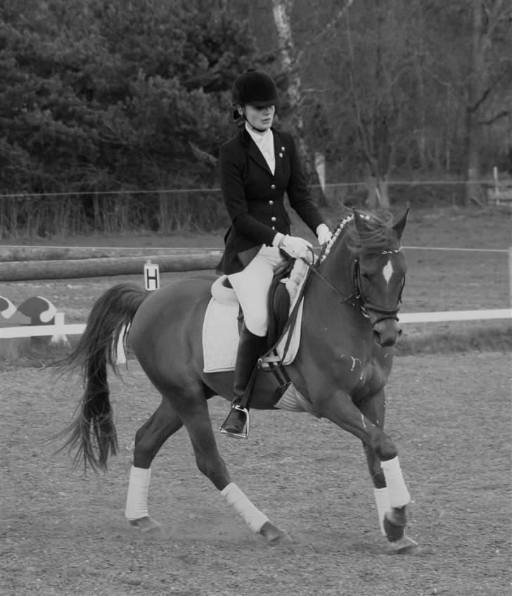 DSP Samson  (solgt) billede 13