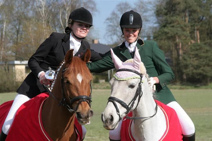 DSP Samson  (solgt) billede 14