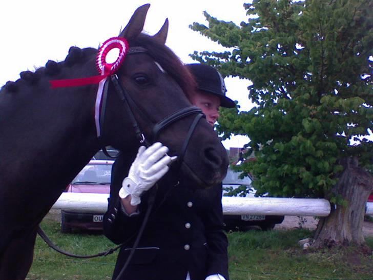 New Forest Kikkenberg's Rikki *SOLGT - Mig og Rikki efter en flot La1, tror jeg .. billede 12