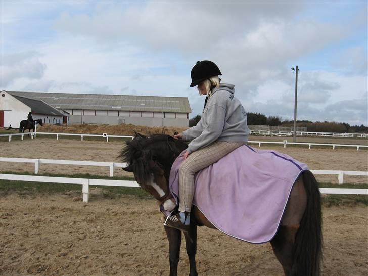 New Forest Tic-Tacs(solgt) - sød ikk?<3 billede 3