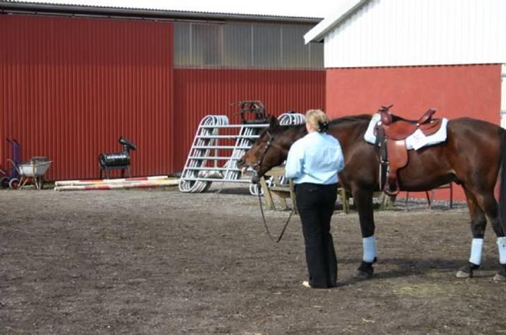 Traver Fjodor Bogø *RIP - Stævne BHWR 3 september 2006. 27 år gammel billede 8