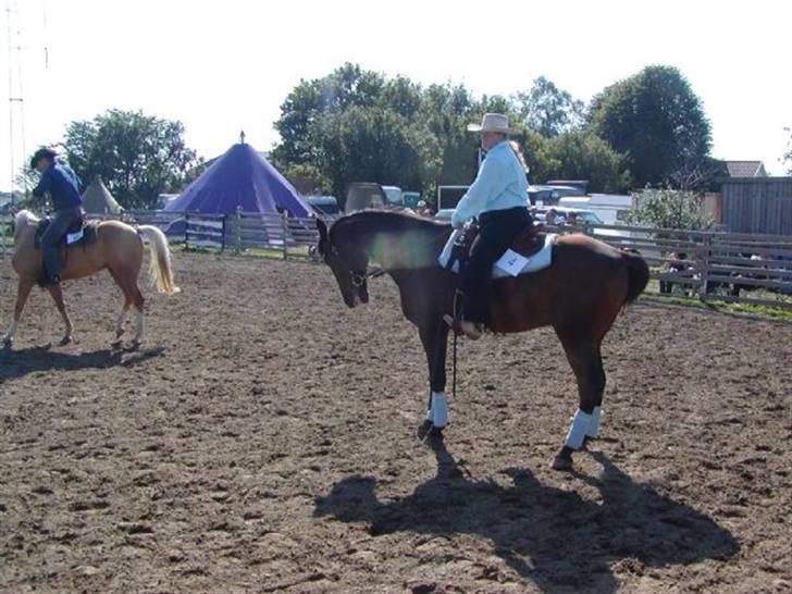 Traver Fjodor Bogø *RIP - Stævne Ranch Horse Cup 20 august 2006 billede 11