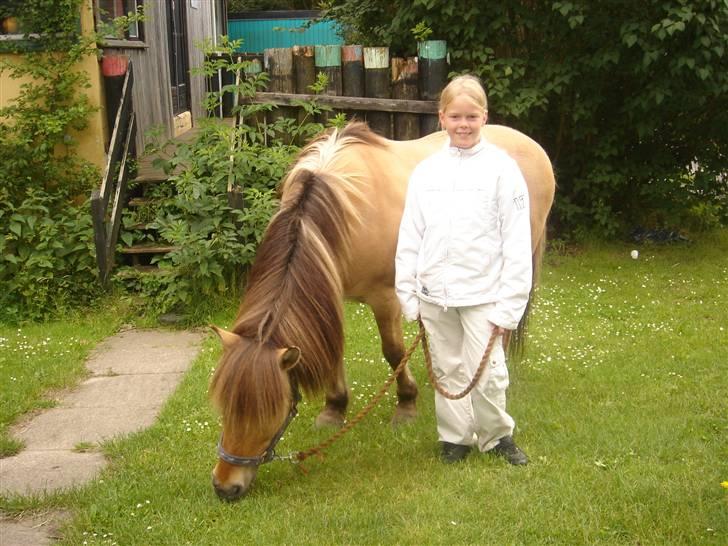 Anden særlig race Polle R.I.P ;´( - jeg græsser med Polle  billede 2