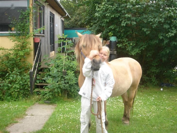 Anden særlig race Polle R.I.P ;´( - jeg a´er Polle  i hovedet :) billede 3